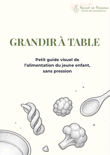 repas du jeune enfant grandir à table